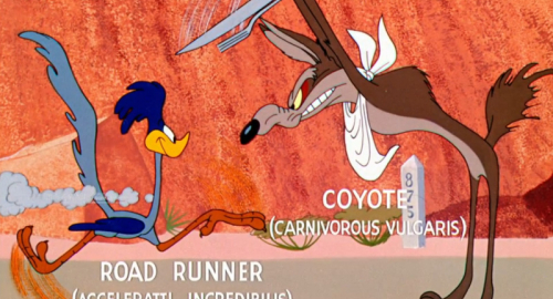 Coyote vs. Acme: Willy il Coyote torna al cinema